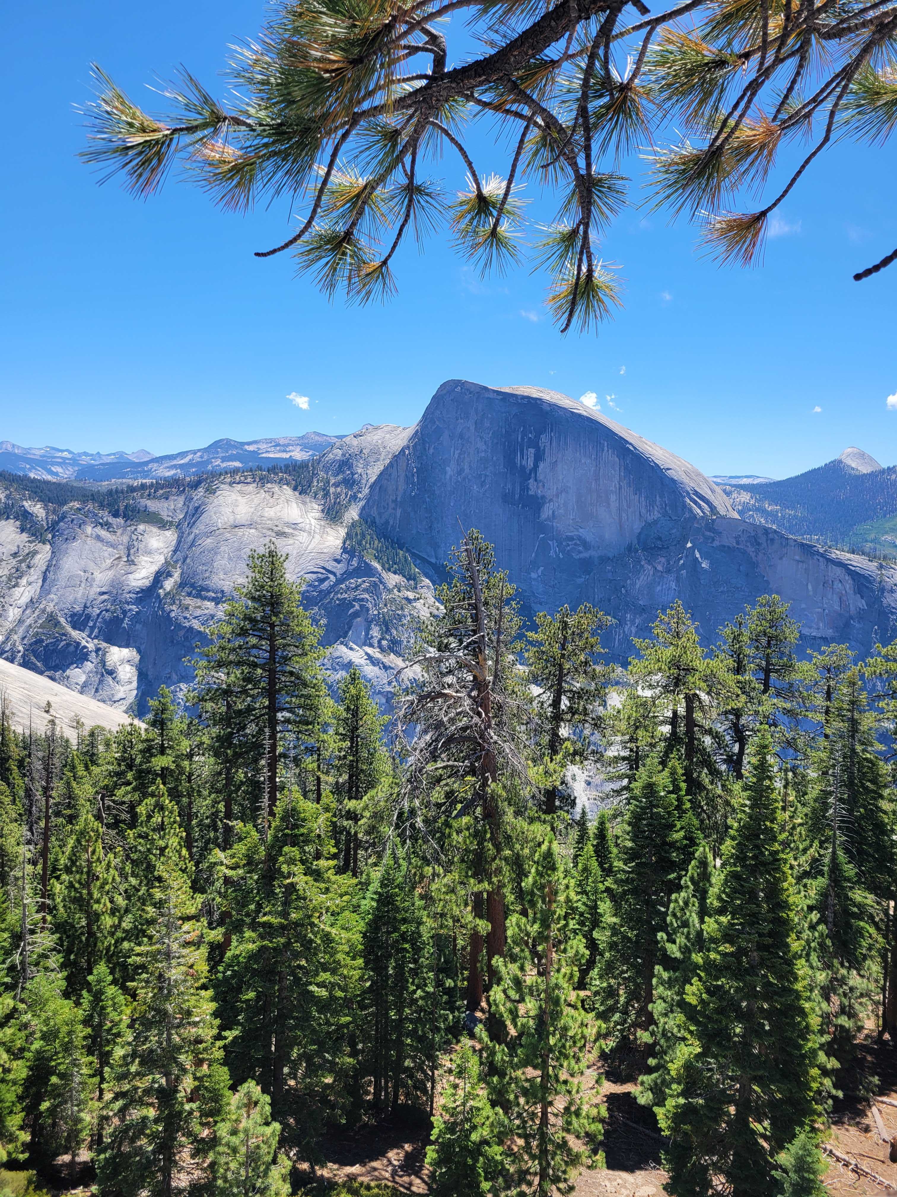 2025 Yosemite Hike 4