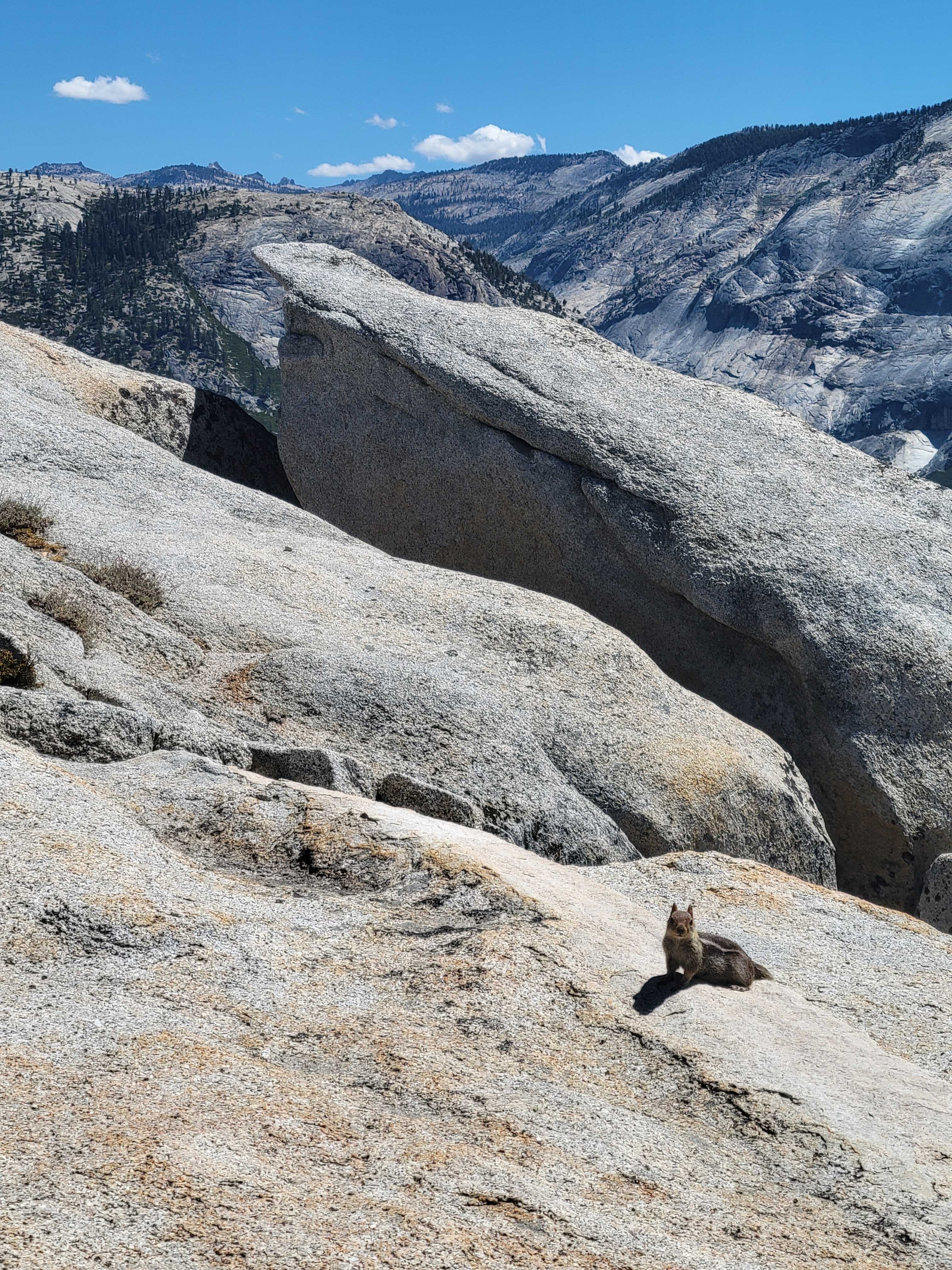 2025 Yosemite Hike 3