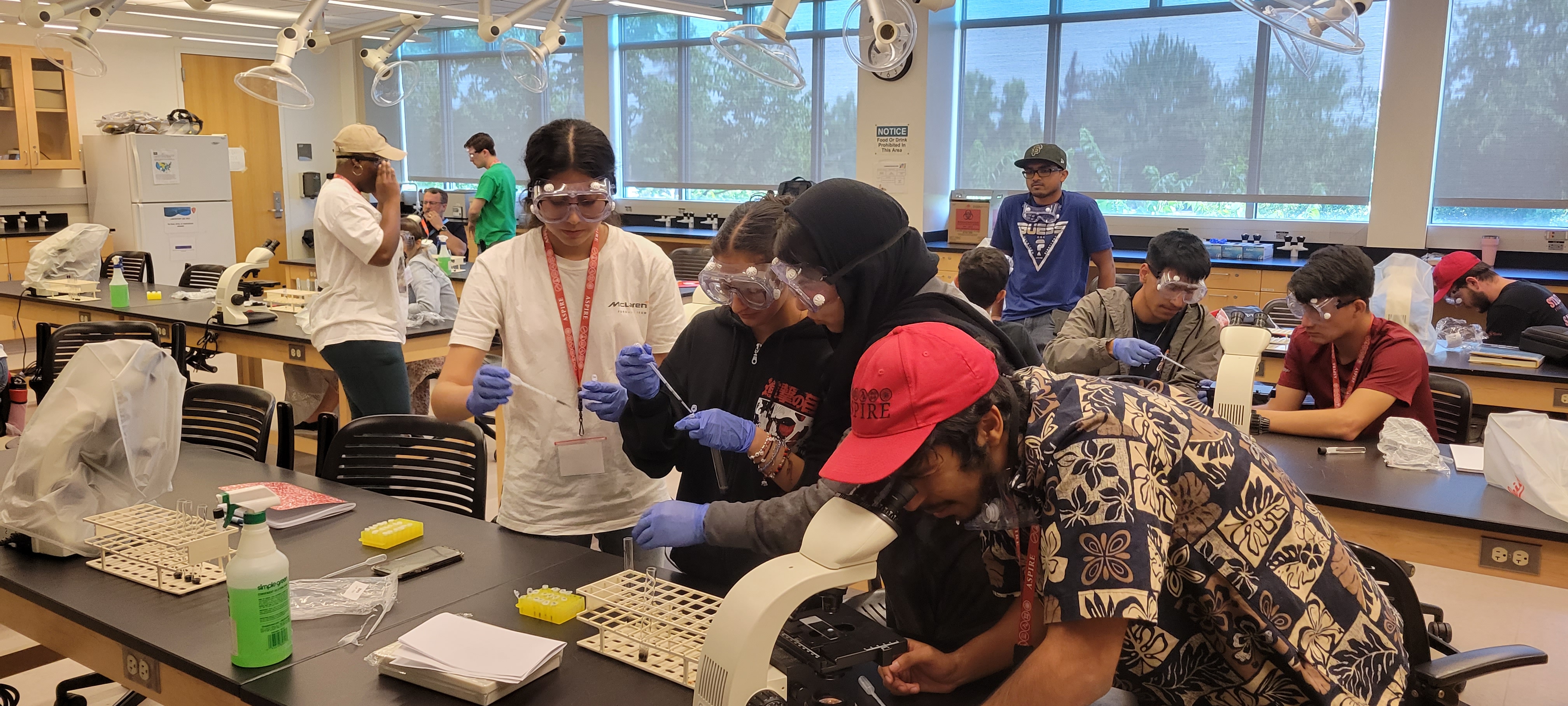 Students working on a phagocytosis activity