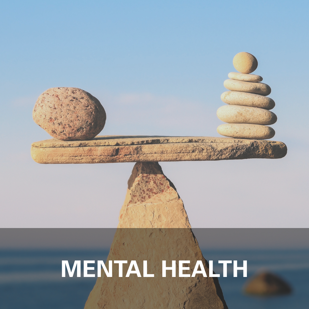 Balanced rocks placed near the water. Title: Mental Health.