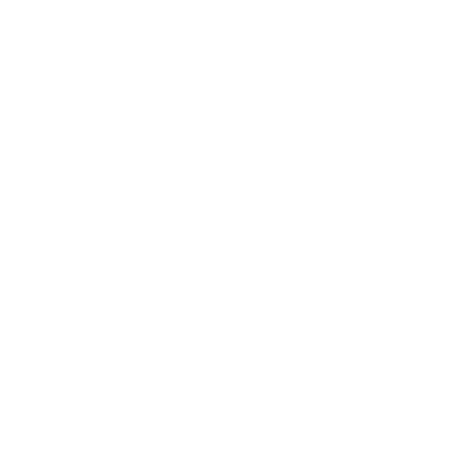 Warrior head logo