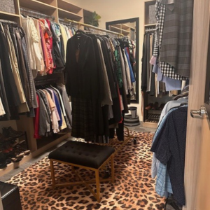 Shelves in the Warrior Wardrobe