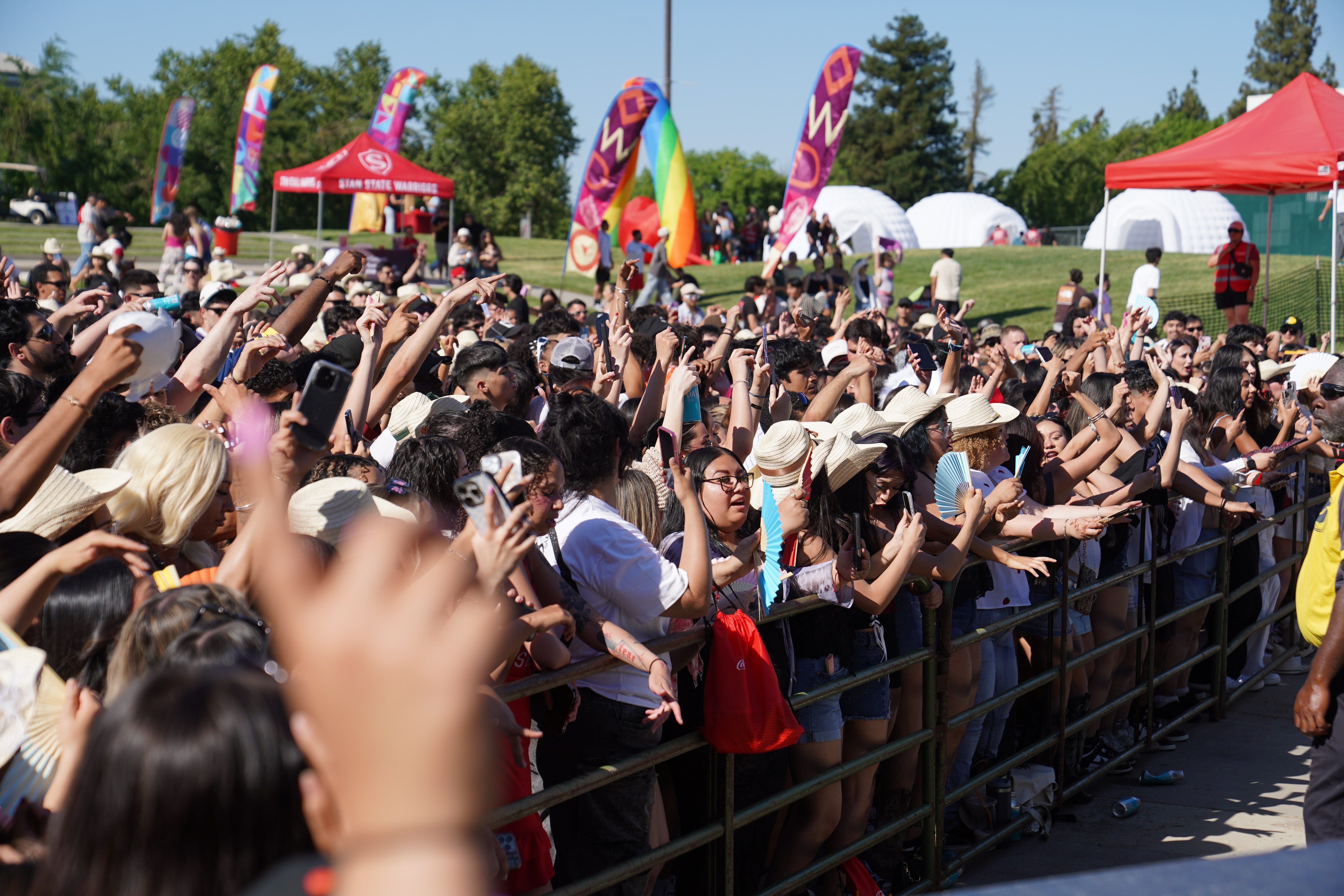 Warrior Day Festival Crowd