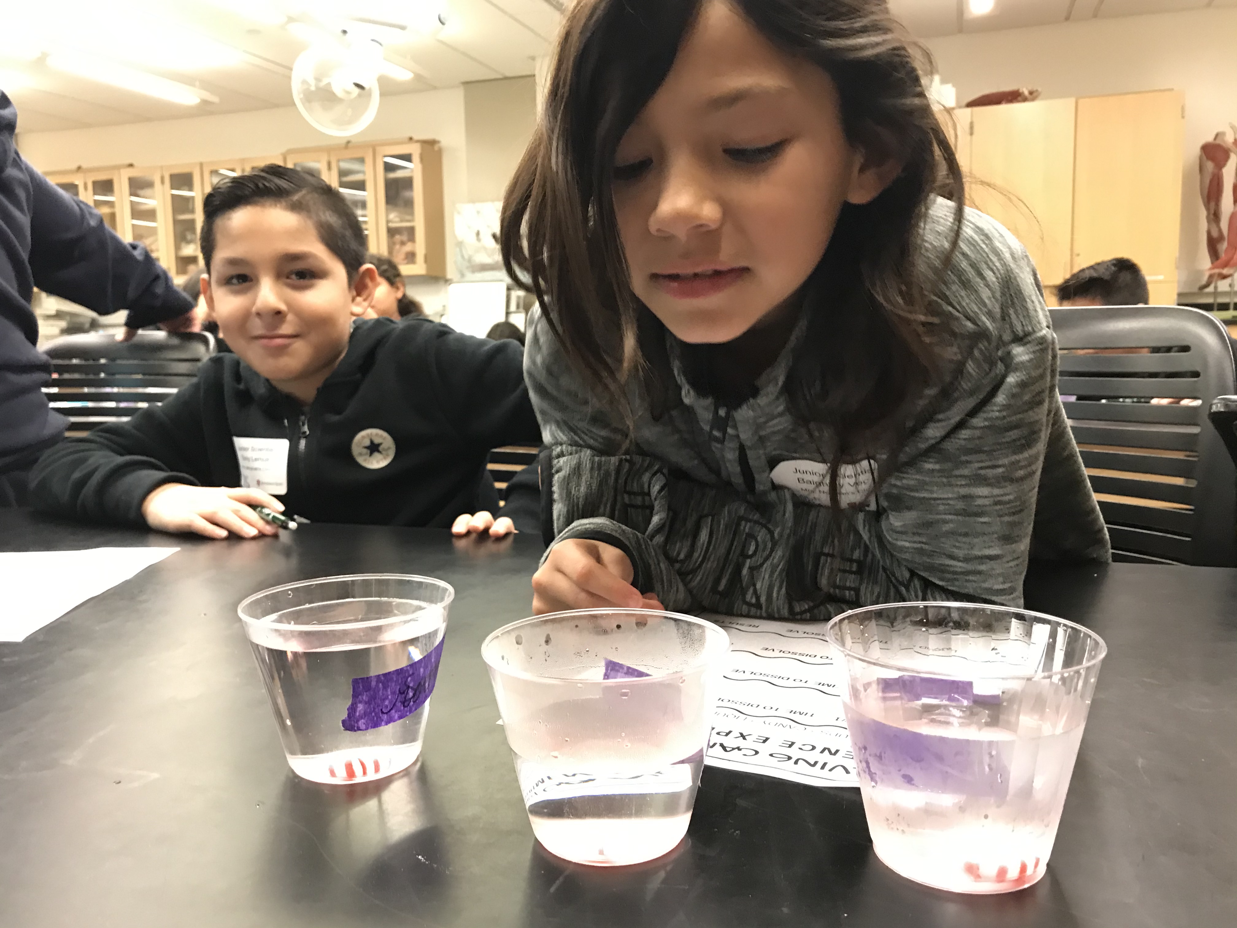 Students observe cups of water during a classroom experiment.