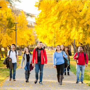Students in Stan State merch walking