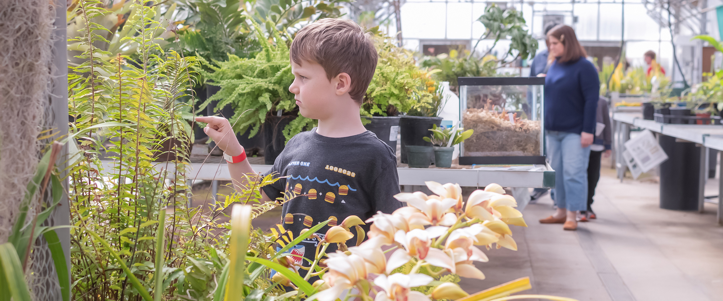 Child exploring plants in the Greenhouse