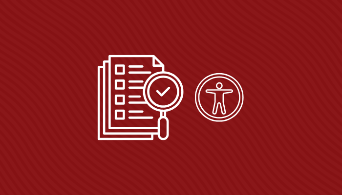 document audit icon