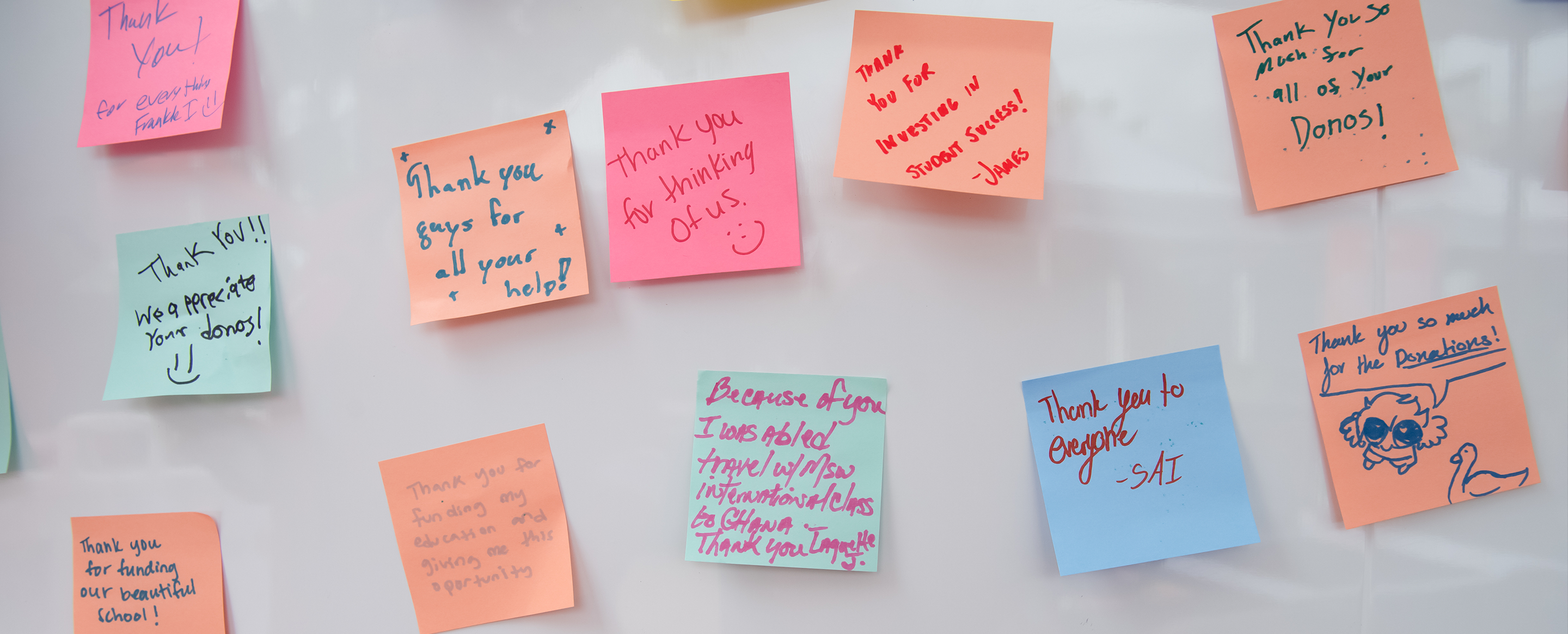 Sticky notes with thank you messages on a white board