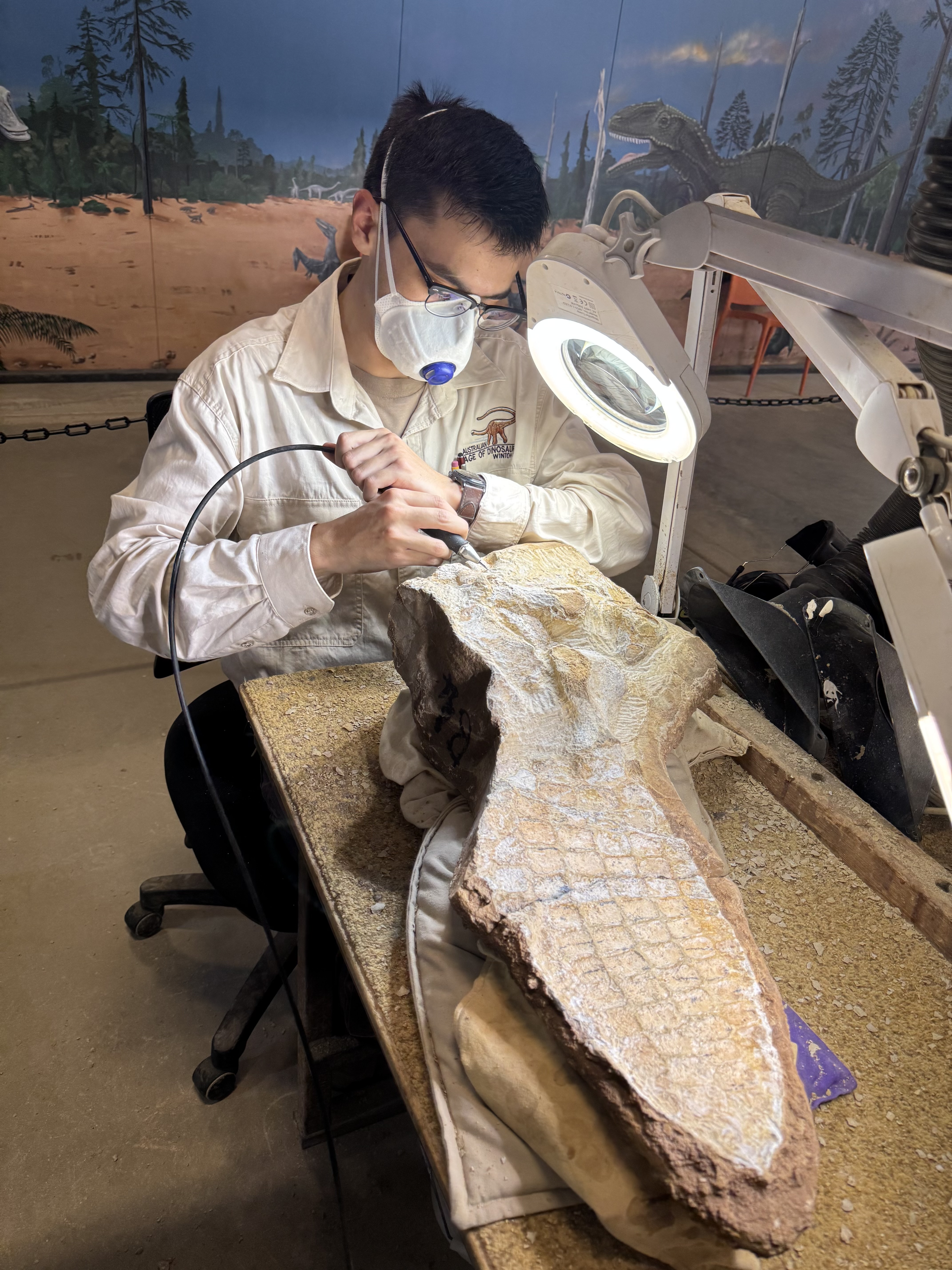 Sebastian Lara preparing a 110-million-year-old ichthyosaur fossil