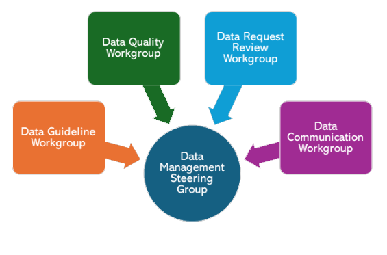 Diagram showing the "Data Management Steering Group" connected to four different workgroups.