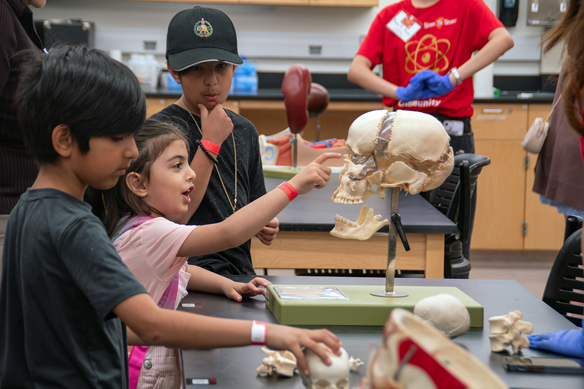 young Warriors at Science Day
