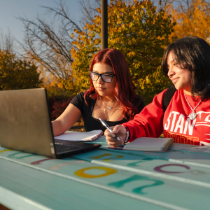 Two students are seen working on an assignment