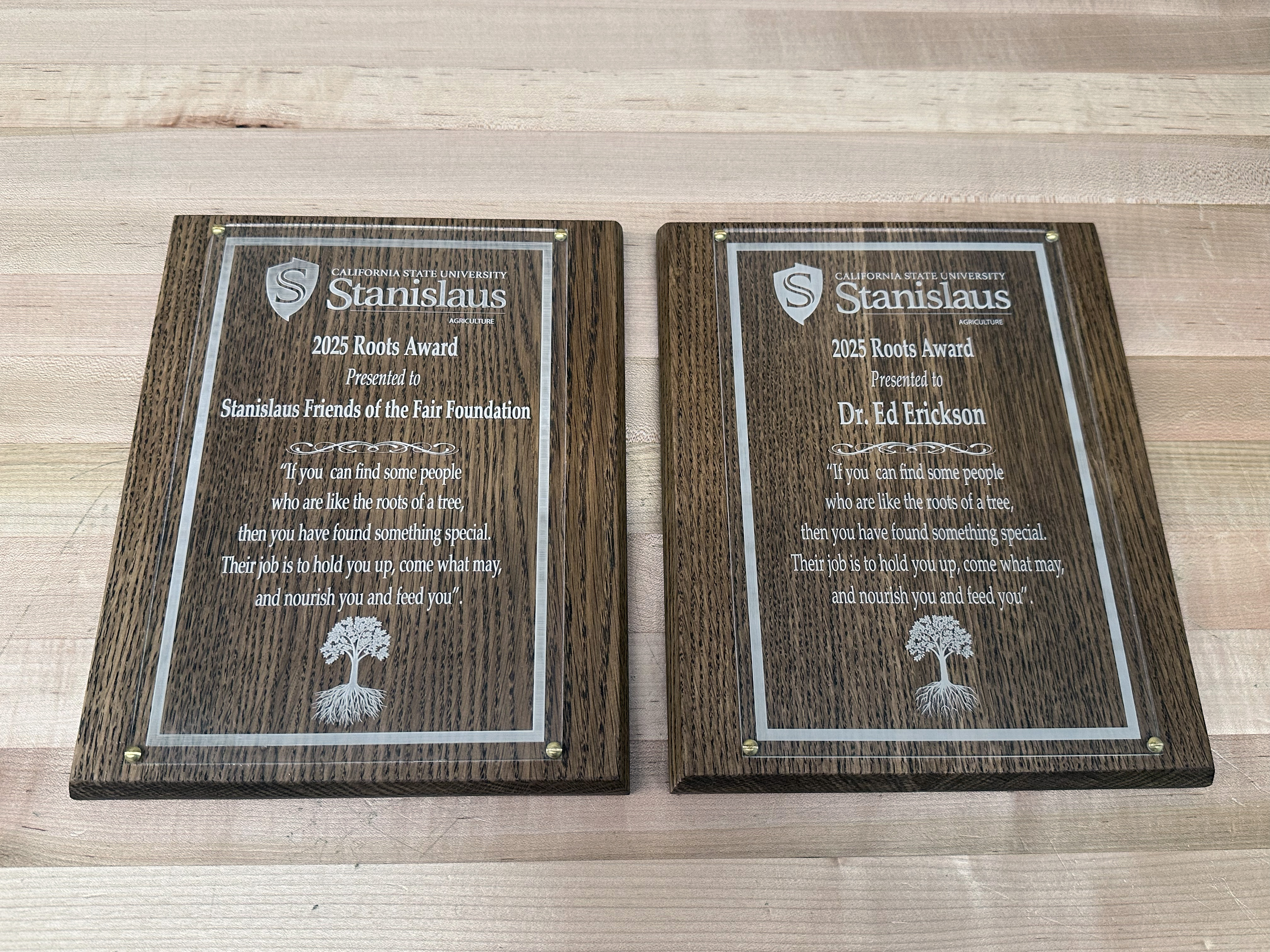 Plaques