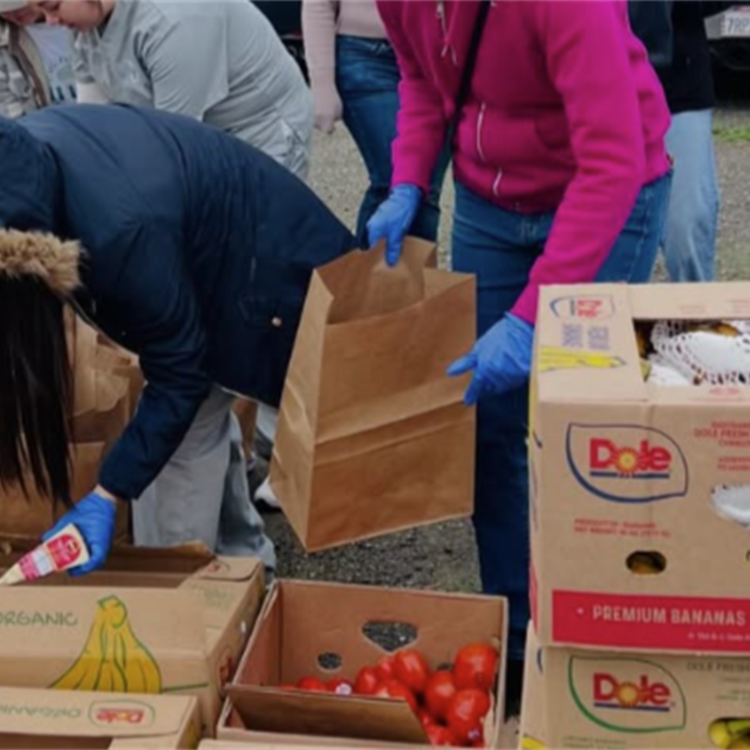 Students sorting out boxes at a food drive.