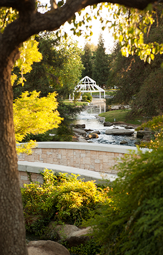 Campus Image