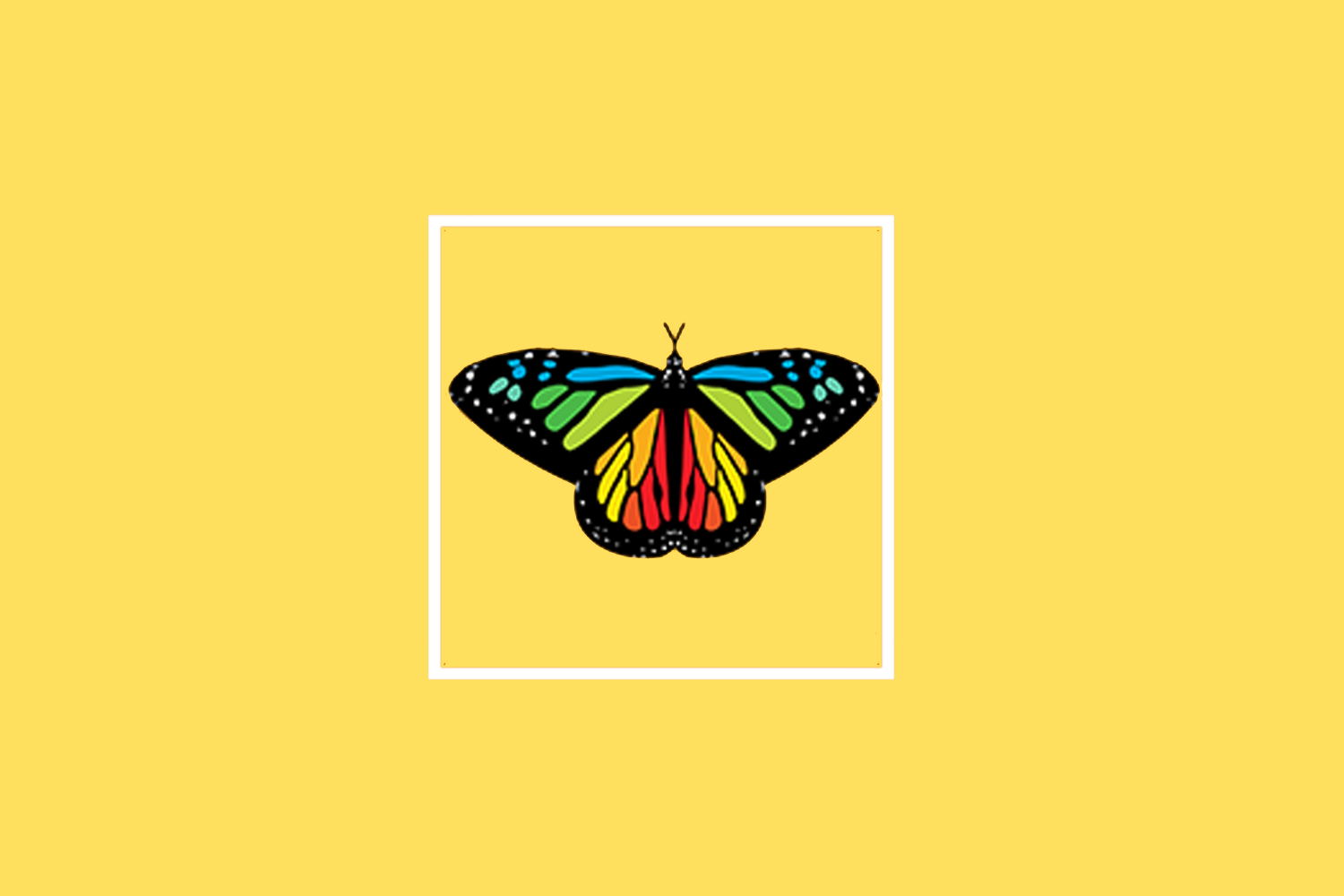 Monarch butterfly on yellow background.
