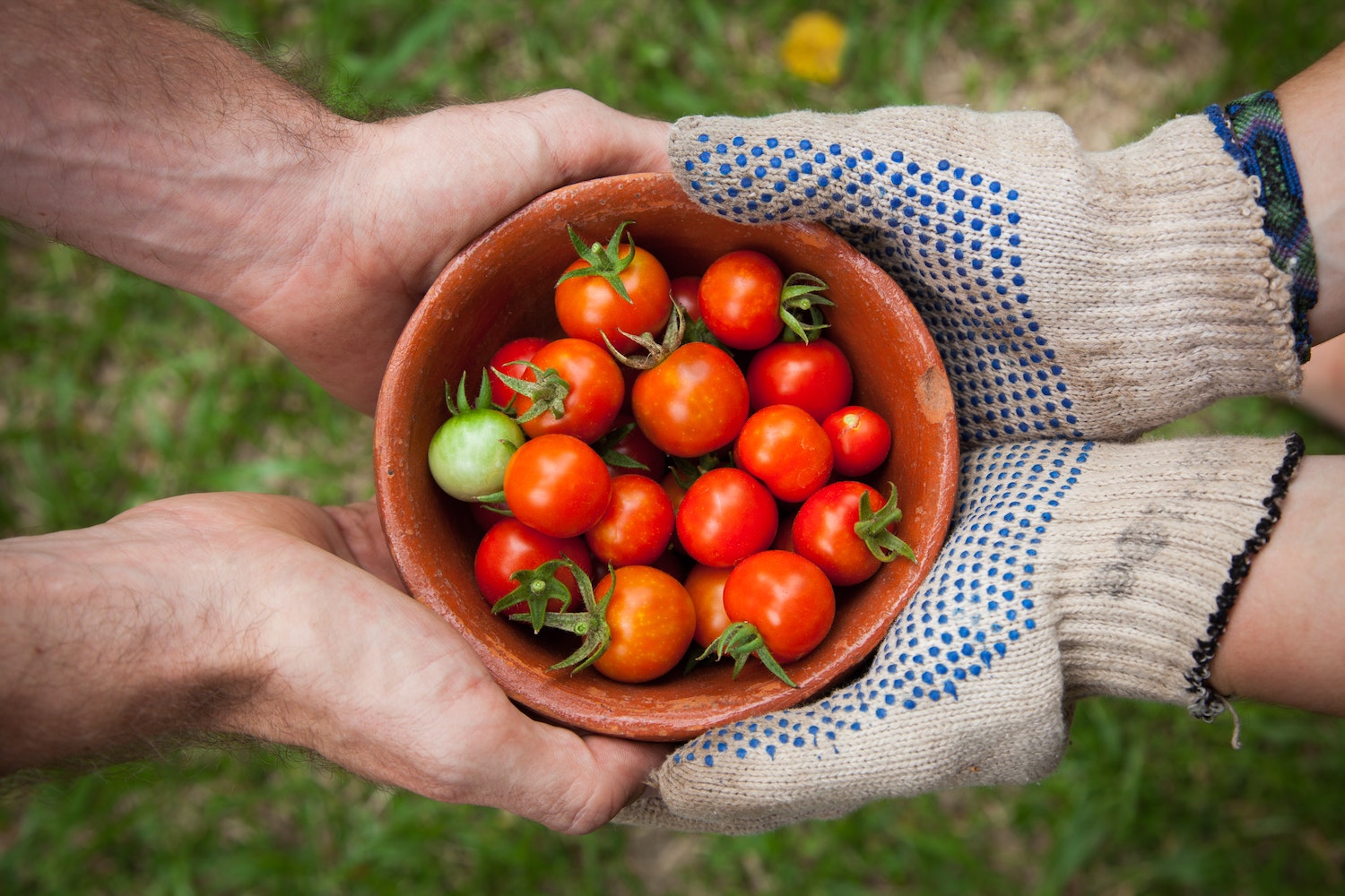 People passing tomatoes