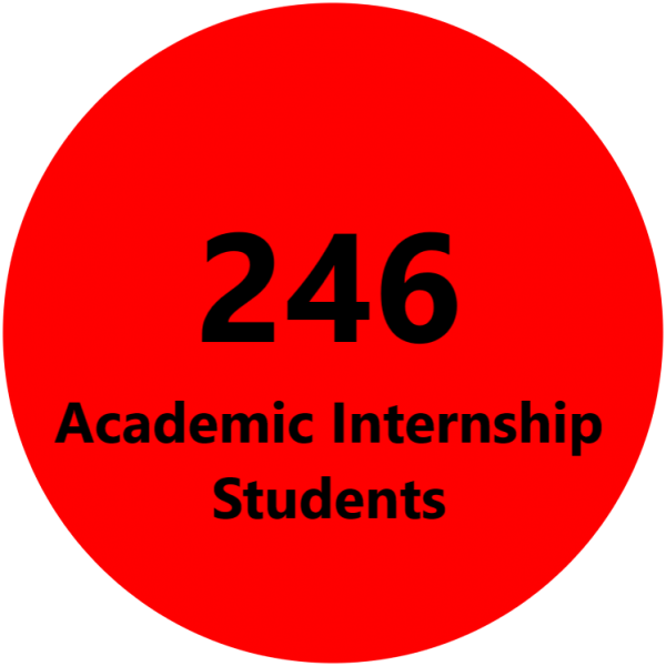 246 Academic Internship Students