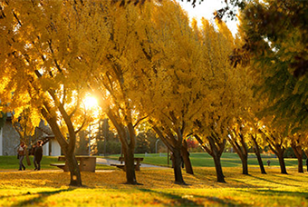 photo of campus in the fall