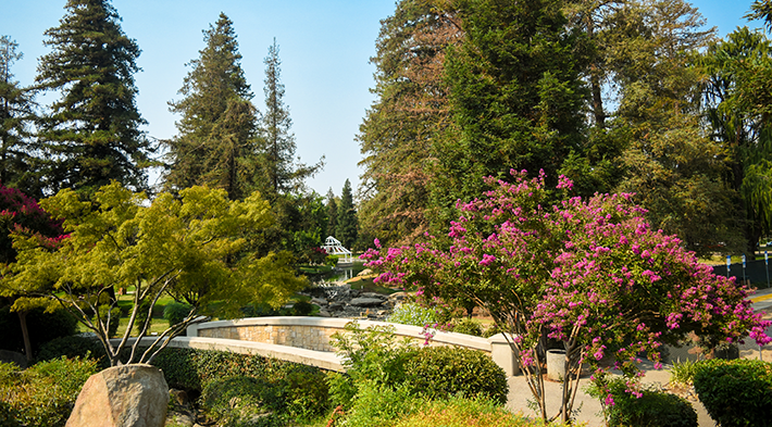 campus in spring