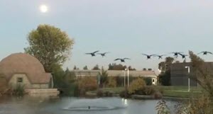 image of racial restrictive covenants in modesto