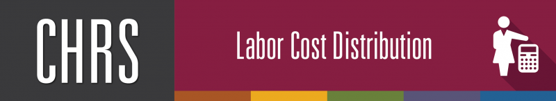 Labor Cost Distribution
