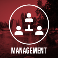 Management career opportunities