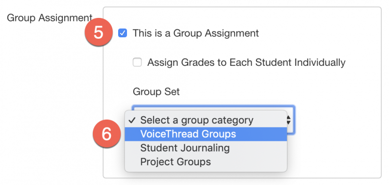 Canvas group assignment options