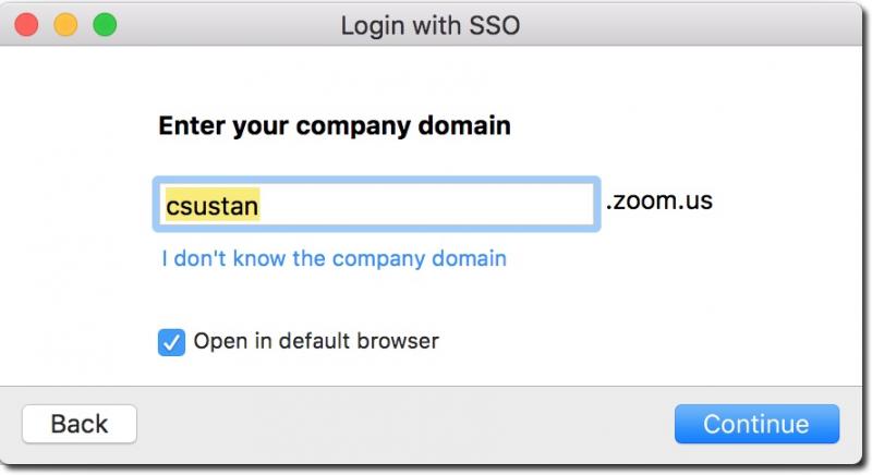 Dialog box for entering SSO domain