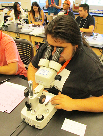 Student looking through microscope during SDA