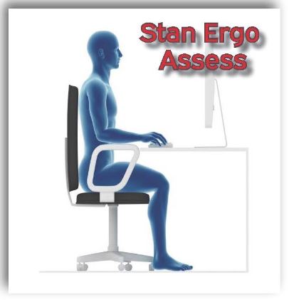 Image of Figure sitting at a disk with words Stan Ergo Assess 