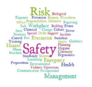  Risk, Safety, Management