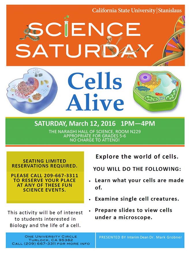 Cells Alive