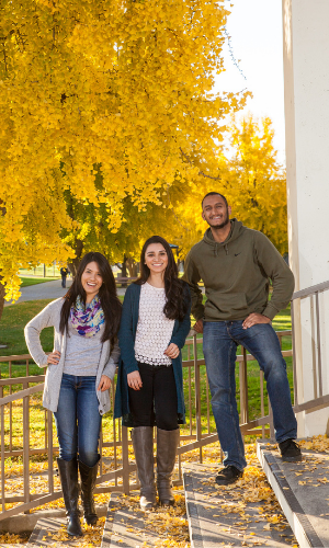 Group photo.Three students. Group photo.Three students.