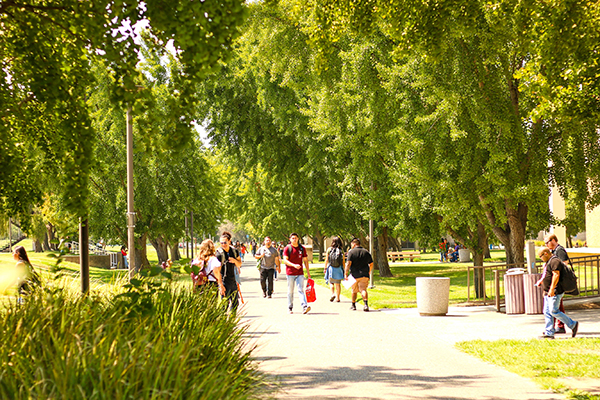 photos of the campus