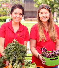 Student wellness