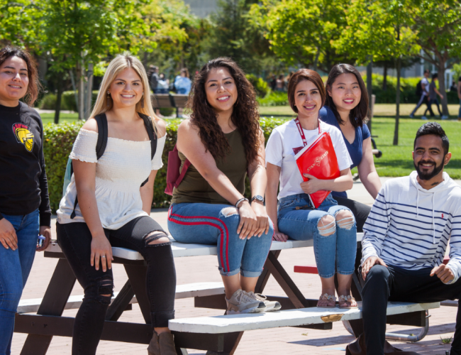 Students socializing in the Quad