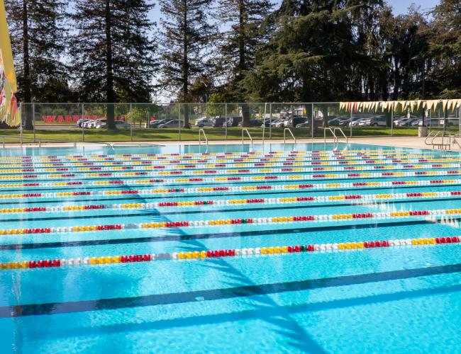 Outdoor swimming pool with lane dividers
