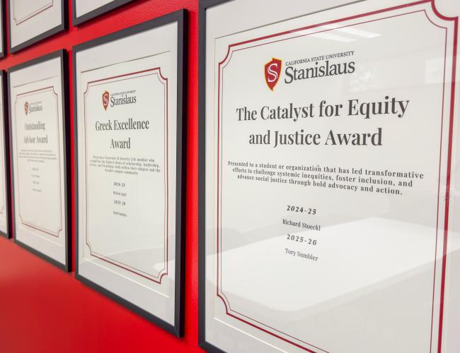 Awards won by Community & Engagement staff