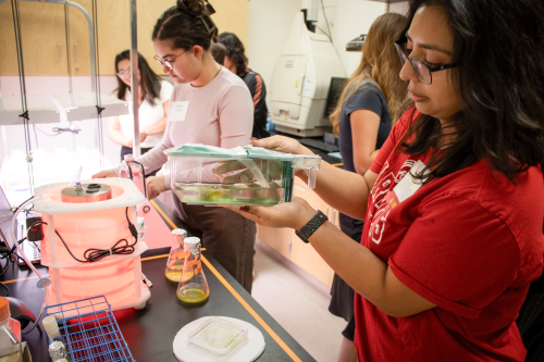 Stanislaus State graduate student Xochitl Ramirez, wearing a red University T-shirt, examines a clear laboratory container holding plant material and liquid while other students work with scientific equipment nearby.