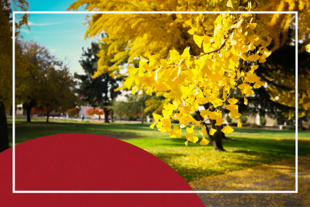 Fall campus photo.