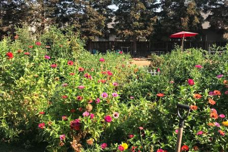 Turlock Community Garden