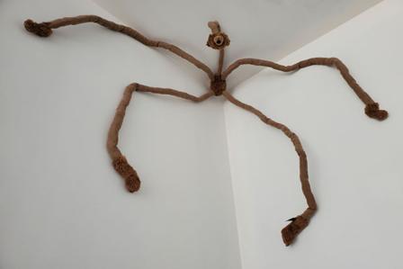 Long Bear