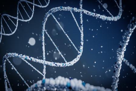 DNA strand