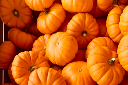 Pumpkins