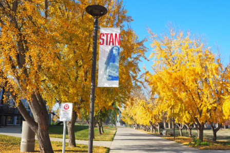 campus in autumn