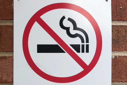 smoke out