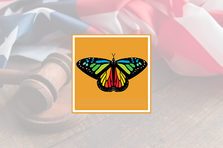 Dreamer butterfly and judge's gravel