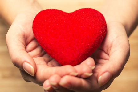 plush heart in hands