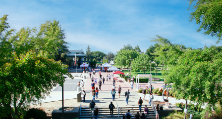 Students in the Quad